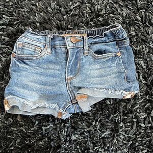 Joes jean shorts size 3T